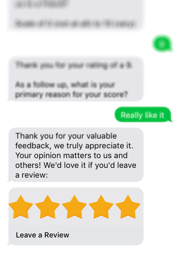 Chat showing a review link